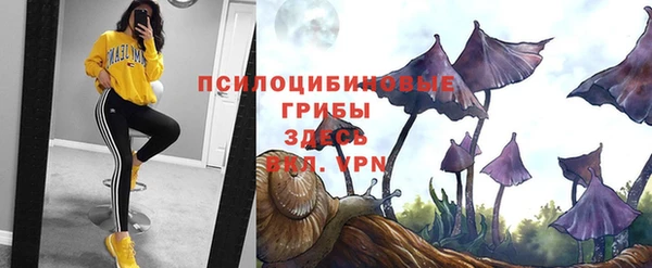 герыч Вяземский