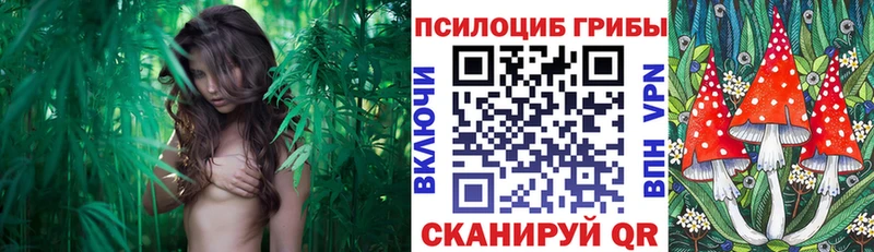 Галлюциногенные грибы Magic Shrooms  площадка состав  Лосино-Петровский 